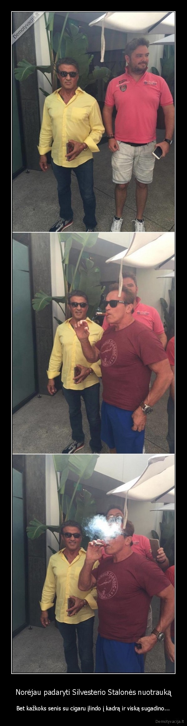 arnoldas, svarcnegeris,stalone,kietas, bicas