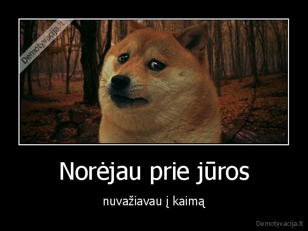 jura,kaimas,sodyba