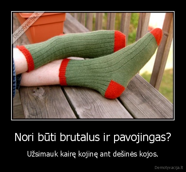 kojine,brutalas,pavojingas