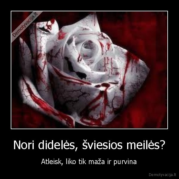 Nori didelės, šviesios meilės?