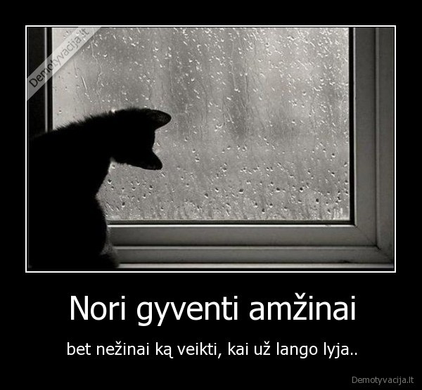 amzinas, gyvenimas,lietus,lyja