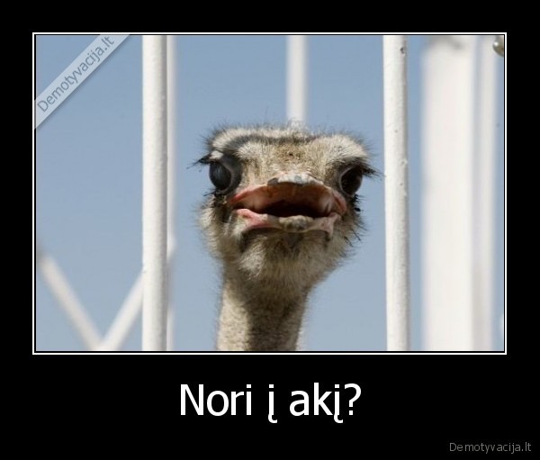 Nori į akį?