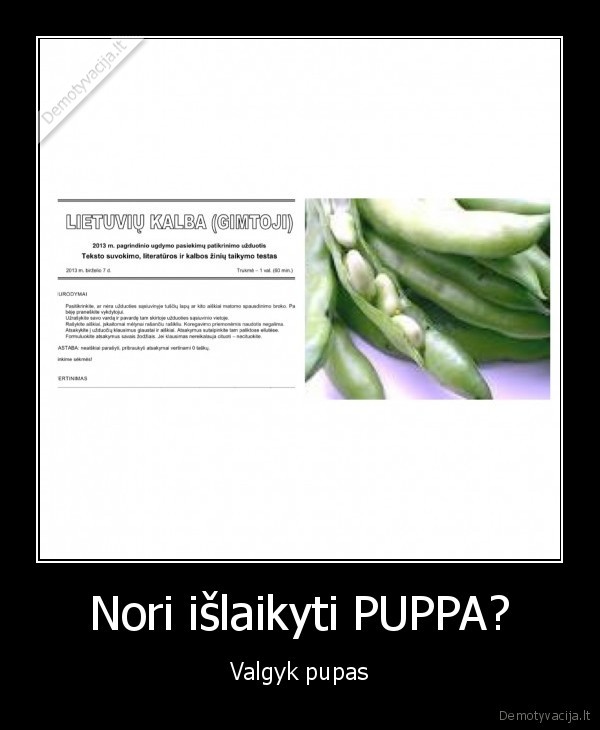 Nori išlaikyti PUPPA?