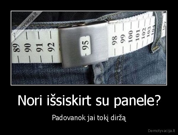 dirzas,panele