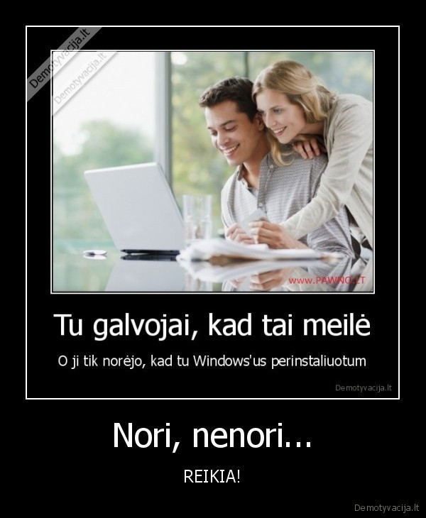 Nori, nenori...