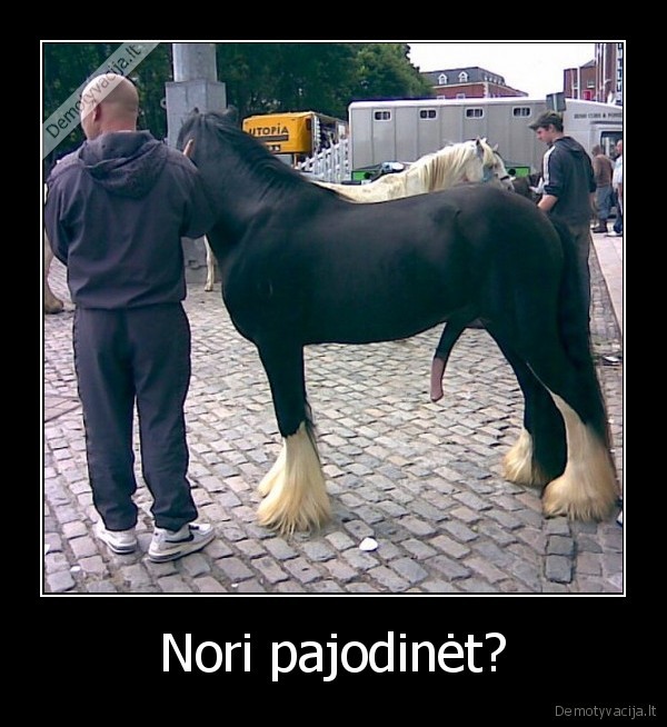 zmogus, gyvenimas, pasaulis