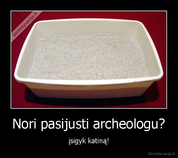litter, box, kates, cats