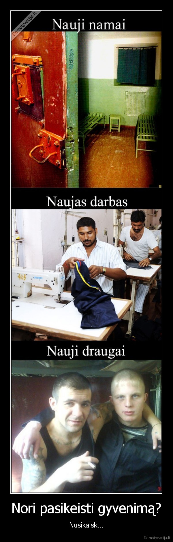 naujas, gyvenimas