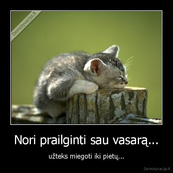 Nori prailginti sau vasarą...