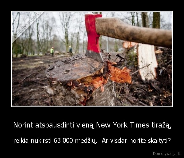 medziai,gamta,pasaulis