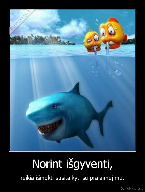 isgyventi,zuvis,ryklys,pralaimejimas,susitaikyti,ismokti