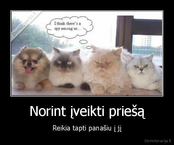 priesas,norint,tapti