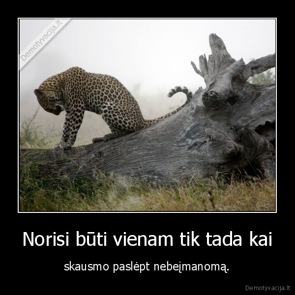 Norisi būti vienam tik tada kai