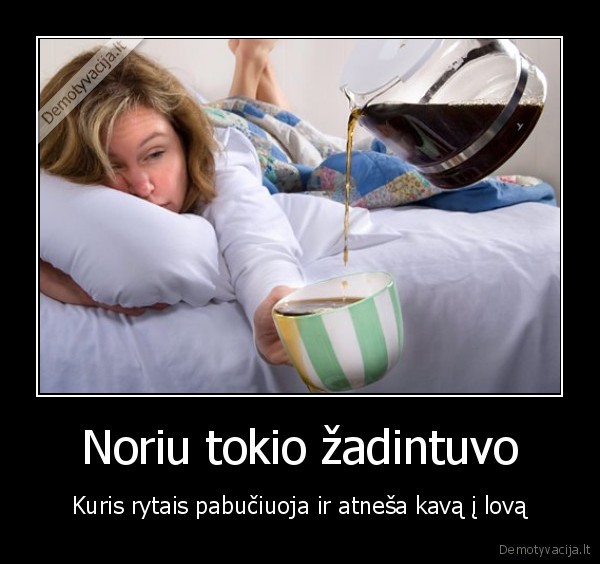 kava, i, lova,rytinis, bucinys,rytine, kava