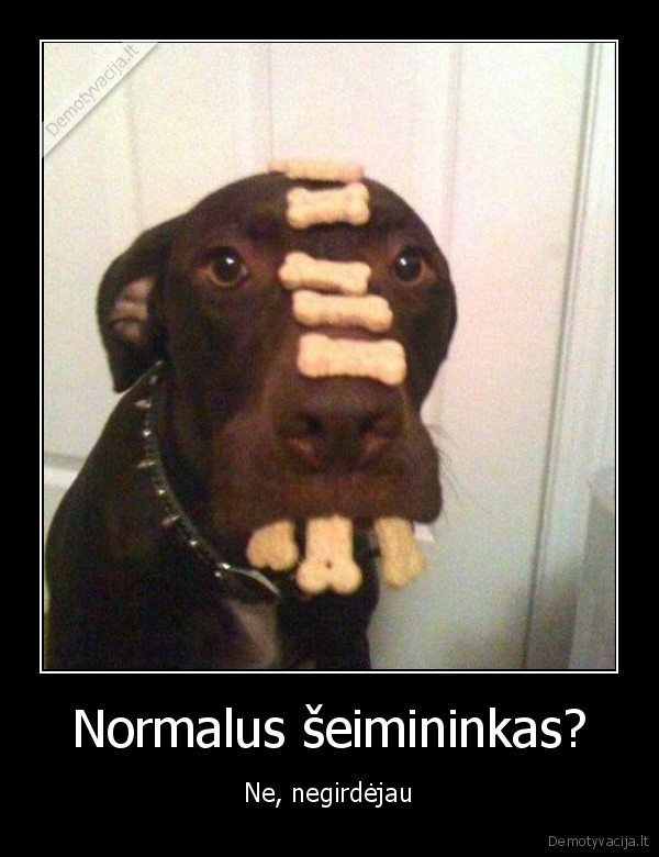 Normalus šeimininkas?