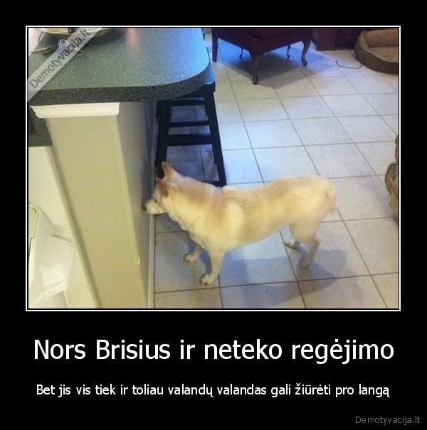 juodas, humoras,aklas, suo