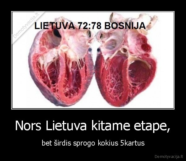 sirdis, sprogo,plyso