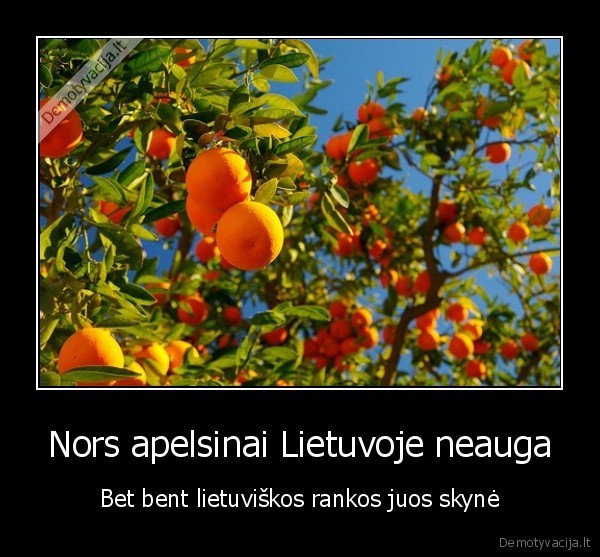 emigracija,lietuva
