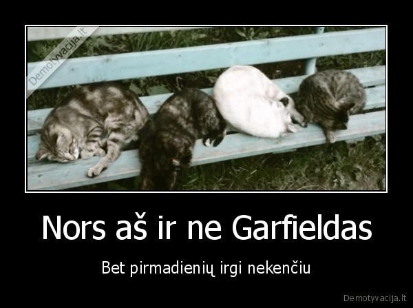 Nors aš ir ne Garfieldas