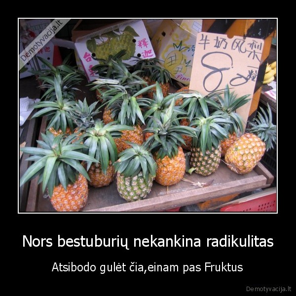 Nors bestuburių nekankina radikulitas