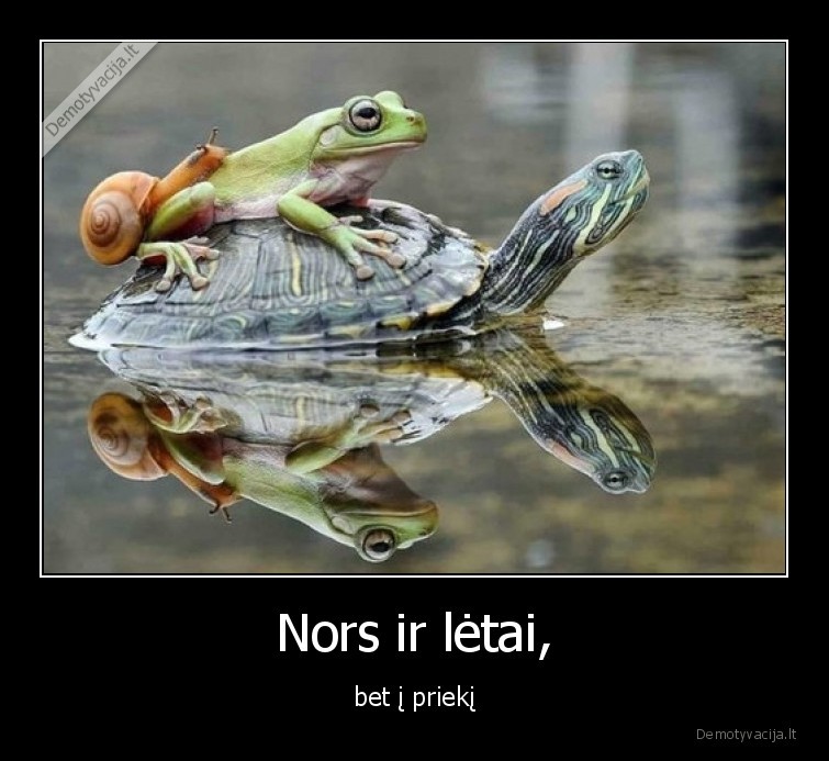 letai,i,prieki,vezliukas