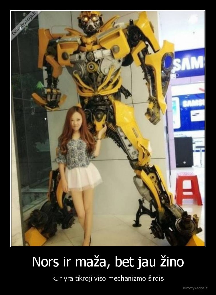 robotas,sirdis