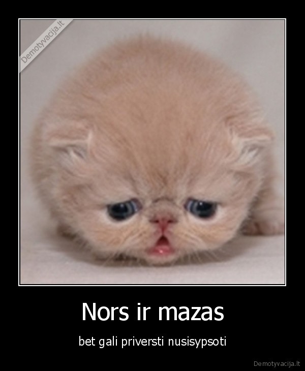 Nors ir mazas