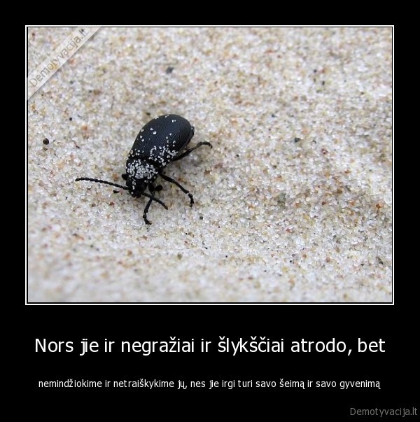 Nors jie ir negražiai ir šlykščiai atrodo, bet