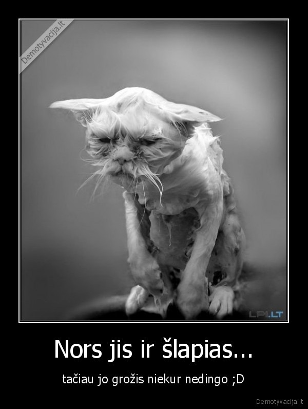 Nors jis ir šlapias...