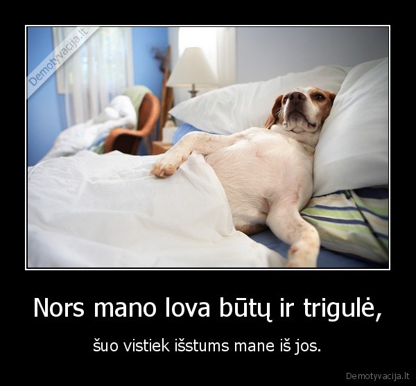 Nors mano lova būtų ir trigulė,