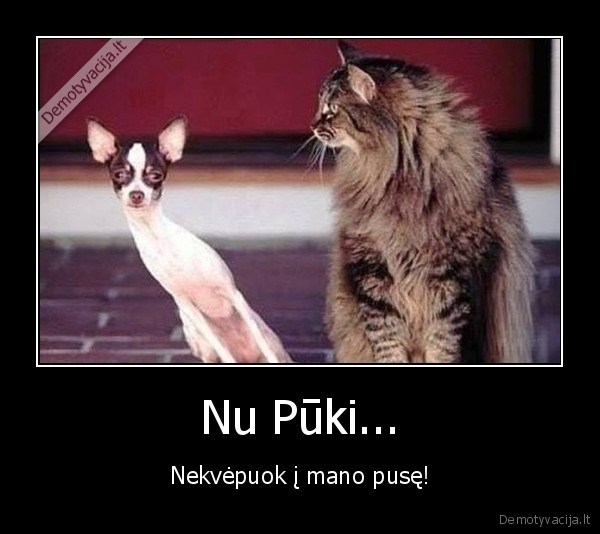 Nu Pūki...