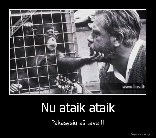 Nu ataik ataik