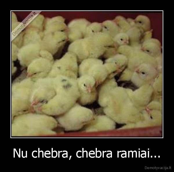 Nu chebra, chebra ramiai...
