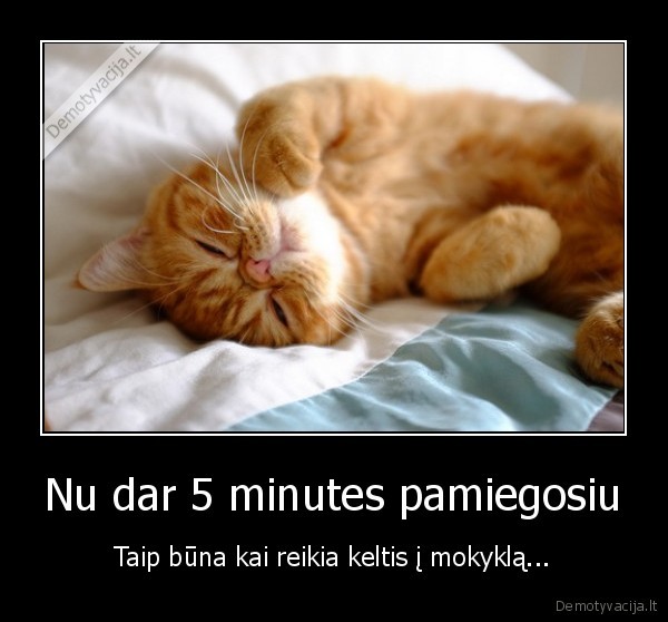 Nu dar 5 minutes pamiegosiu