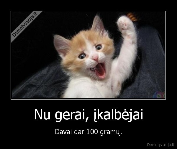 100, gramu,katinas,ikalebjai