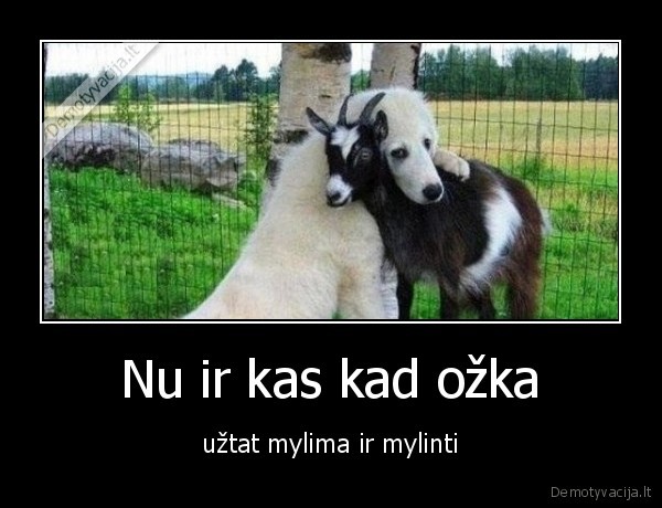ozka,mylima
