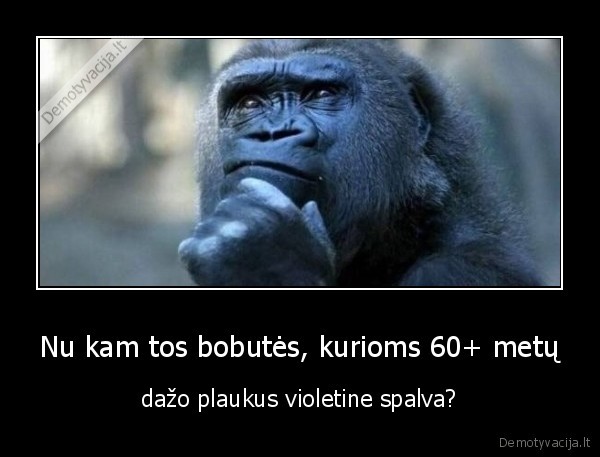 bobutes,dazyti