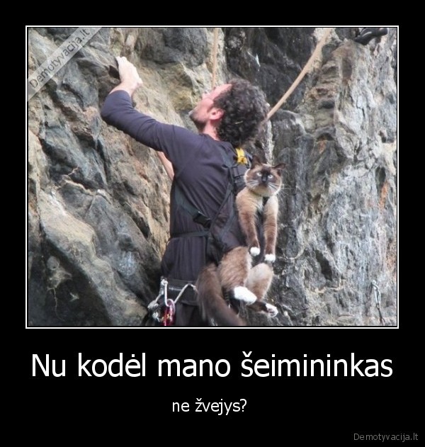 zvejoti,zvejys