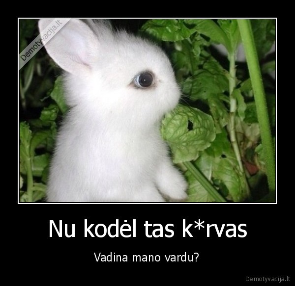 zukis,zukute,vardas