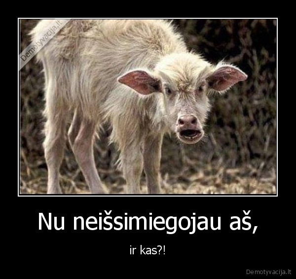 miegas