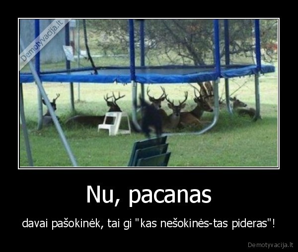 Nu, pacanas