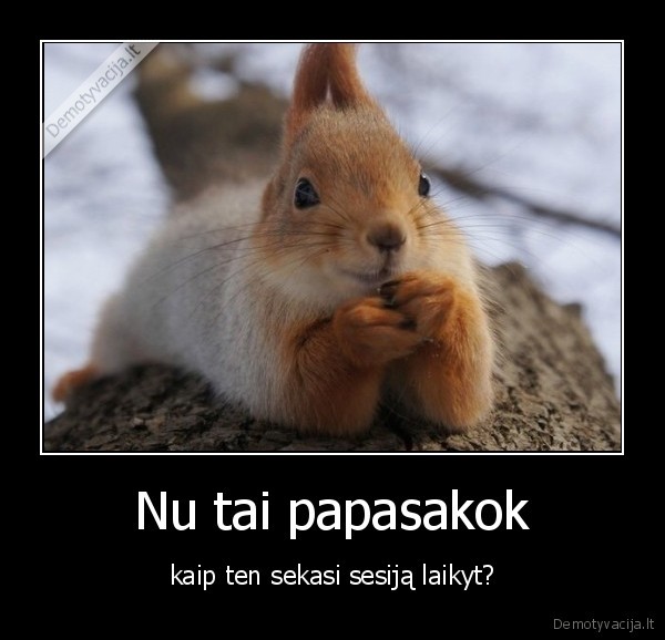 sesija,studentia