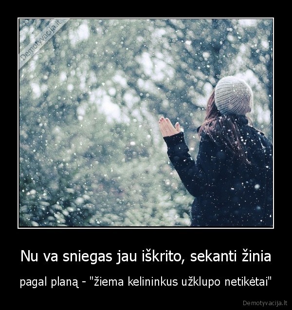 kelininkai,ziema