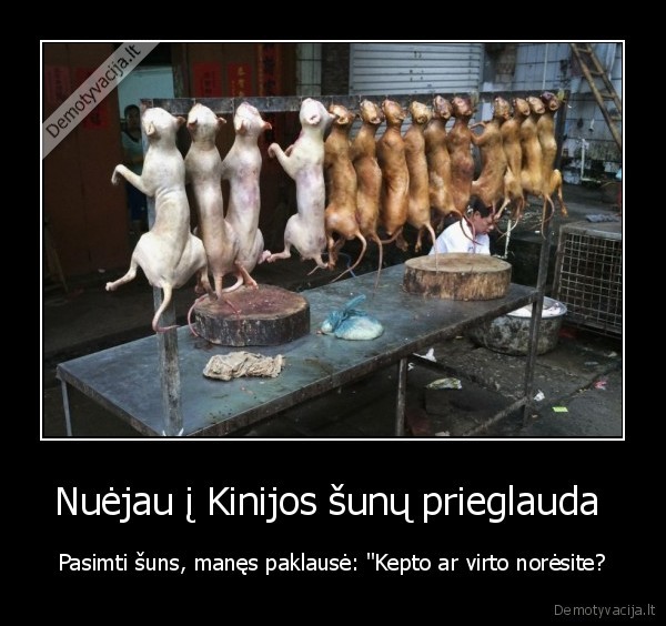 kinai,kinija,juodas, humoras,suniena