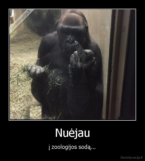 Nuėjau
