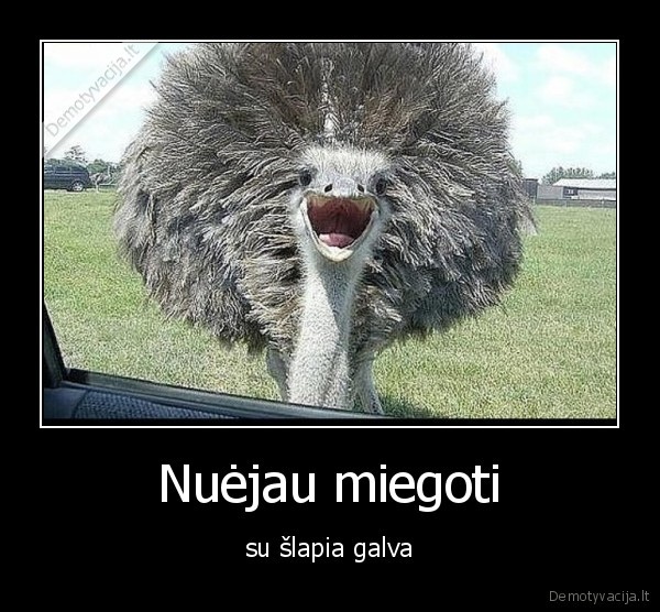 miegoti,galva,slapia