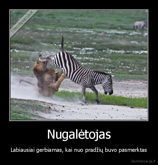 Nugalėtojas