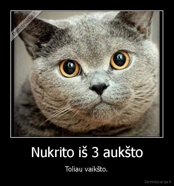 katinas,krenta,vaiksto