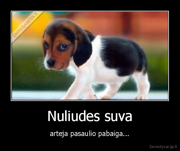 Nuliudes suva