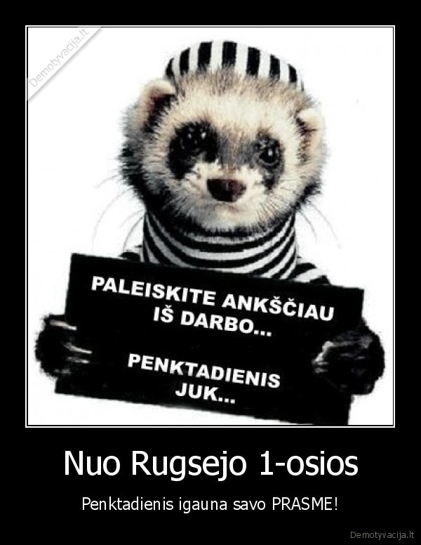 penktadienis, alaus, gimtadienis